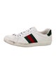 Gucci Sylvie Web Accent Leather Sneakers