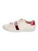 Gucci Ace Sneakers