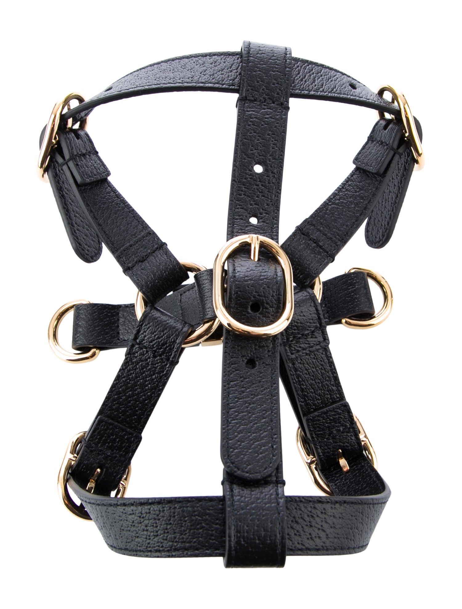 Gucci Demetra Pet Harness