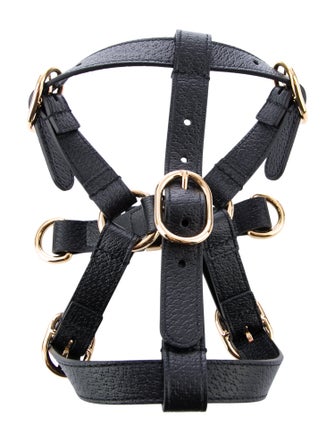 Gucci Demetra Pet Harness