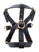 Gucci Demetra Pet Harness
