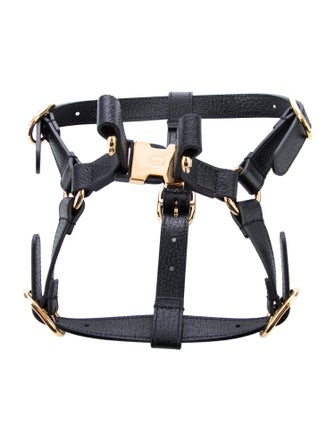 Gucci Demetra Pet Harness