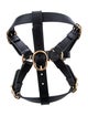 Gucci Demetra Pet Harness