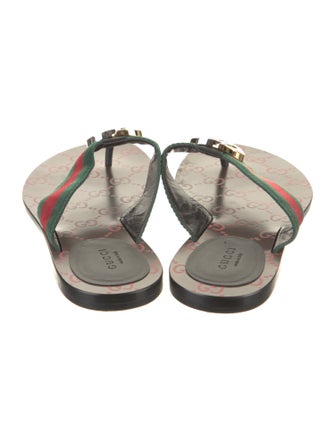 Gucci Web Accent Slides