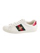 Gucci Web Accent Leather Sneakers