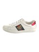 Gucci Web Accent Leather Sneakers
