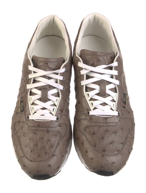 Gucci Ostrich Sneakers