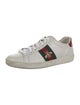 Gucci Web Accent Leather Sneakers