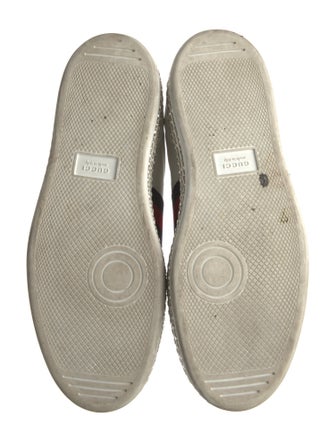 Gucci Sylvie Web Accent Leather Sneakers