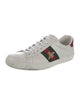 Gucci Ace Sneaker Sneakers