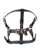 Gucci Demetra Pet Harness