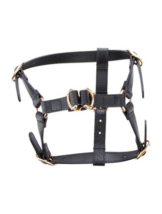 Gucci Demetra Pet Harness