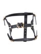 Gucci Demetra Pet Harness