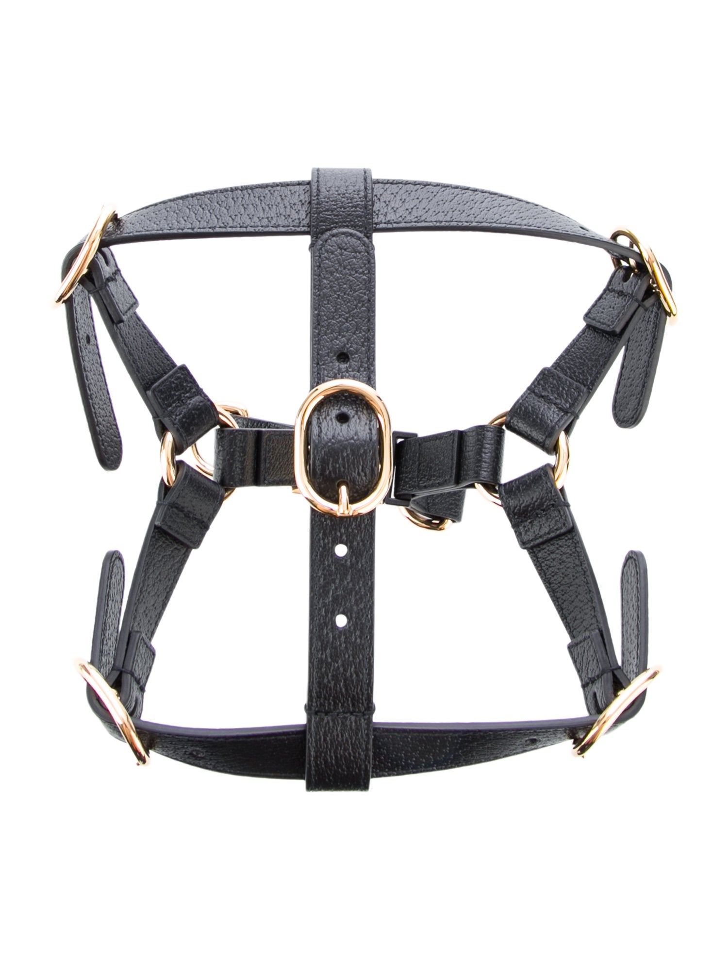 Gucci Demetra Pet Harness