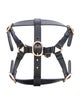 Gucci Demetra Pet Harness