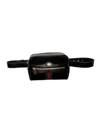 Gucci Web Ophidia