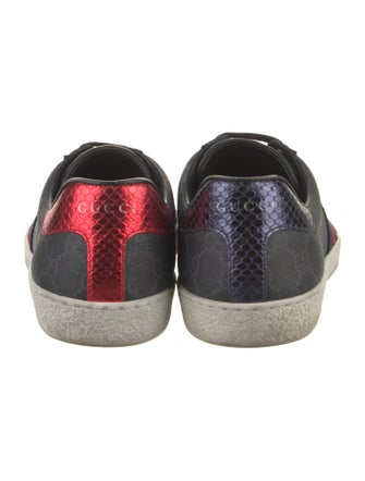 Gucci Sylvie Web Accent Sneakers