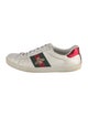 Gucci Web Accent Leather Sneakers