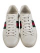 Gucci Ace Sneakers