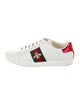 Gucci Web Accent Leather Sneakers