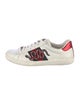 Gucci Web Accent Leather Sneakers