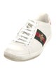 Gucci Web Accent Leather Sneakers