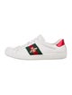 Gucci Web Accent Leather Sneakers