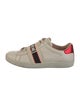 Gucci Sylvie Web Accent Leather Sneakers