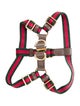 Gucci Web Dog Harness