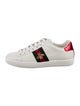 Gucci Web Accent Leather Sneakers