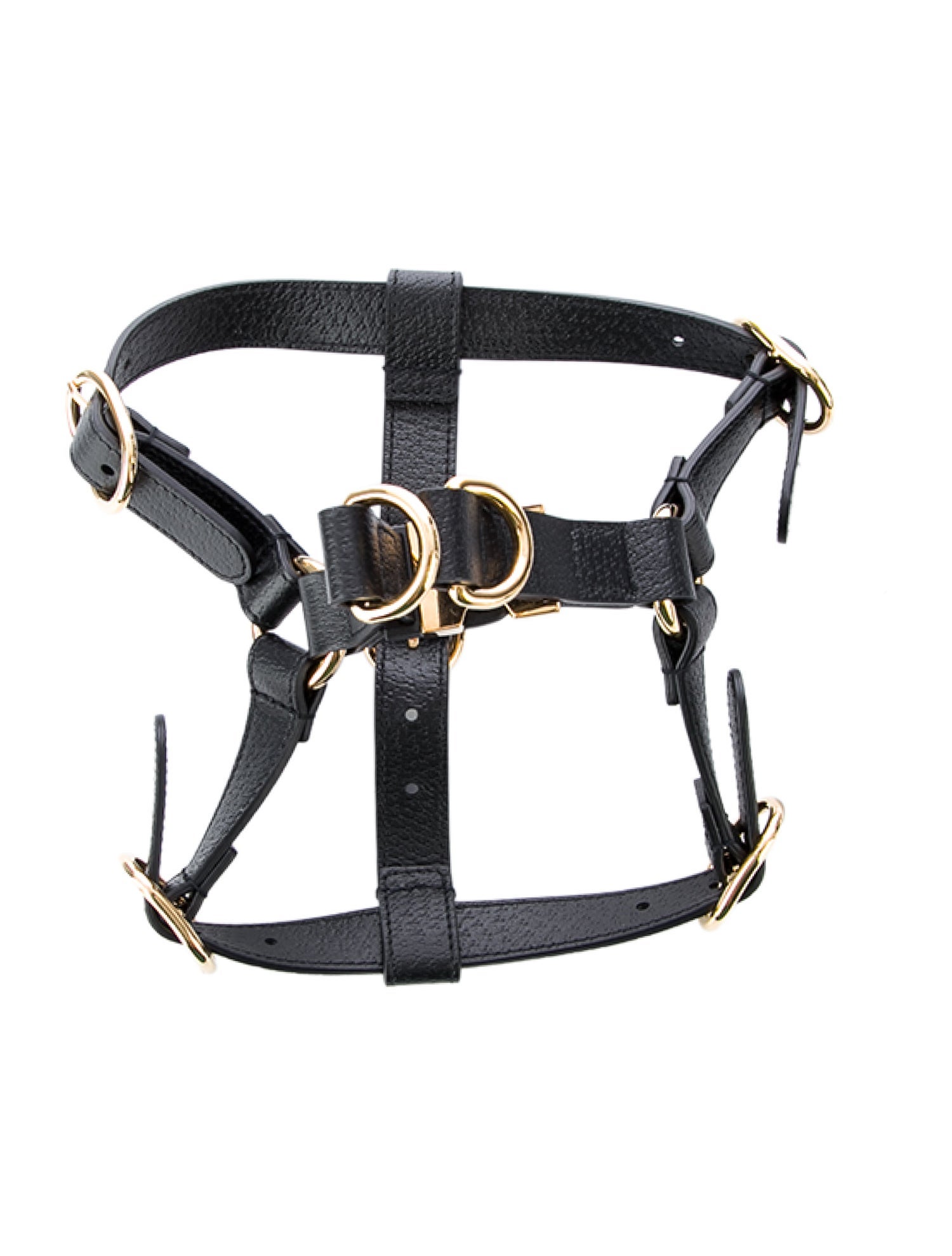 Gucci Demetra Pet Harness