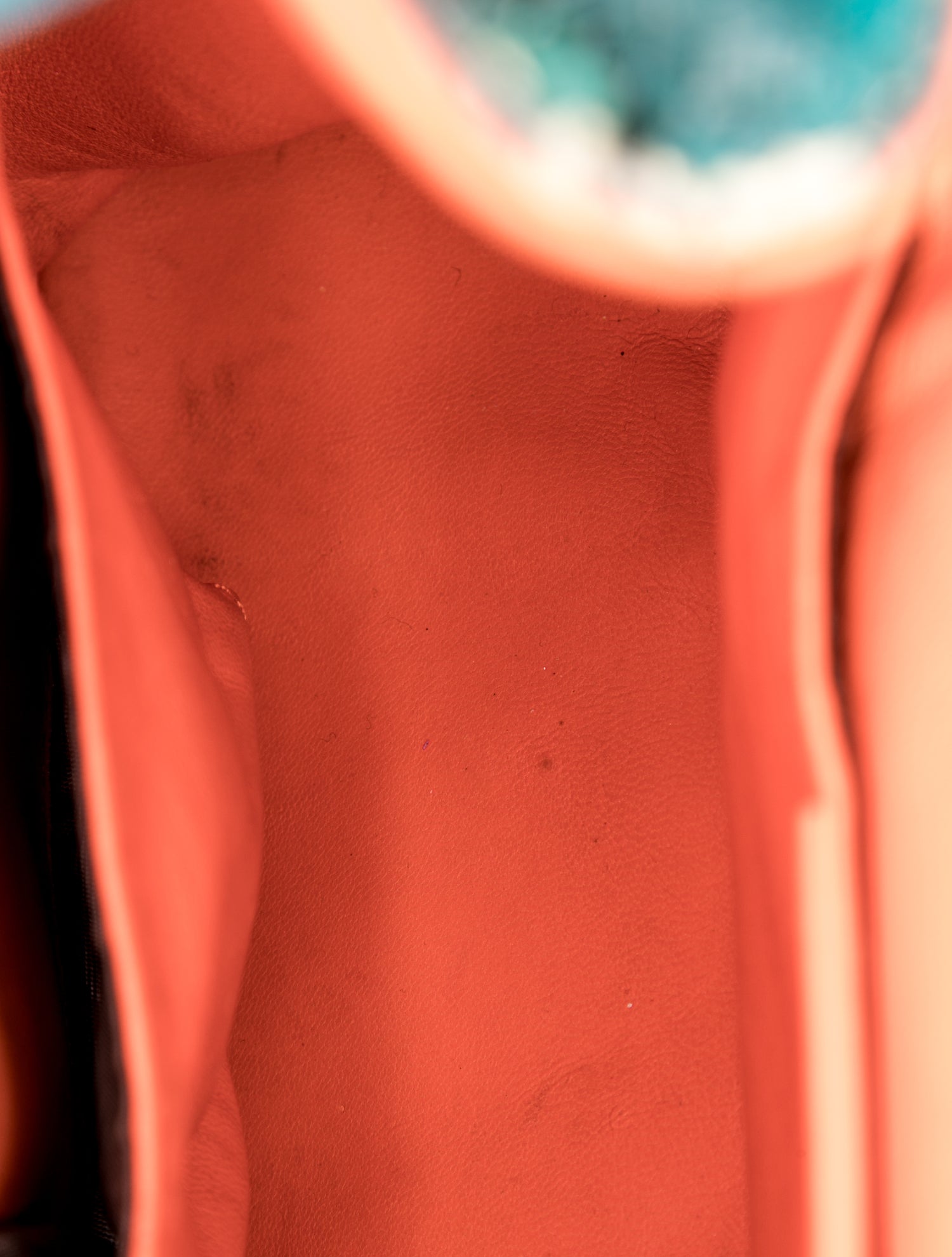 Python Backpack Vintage