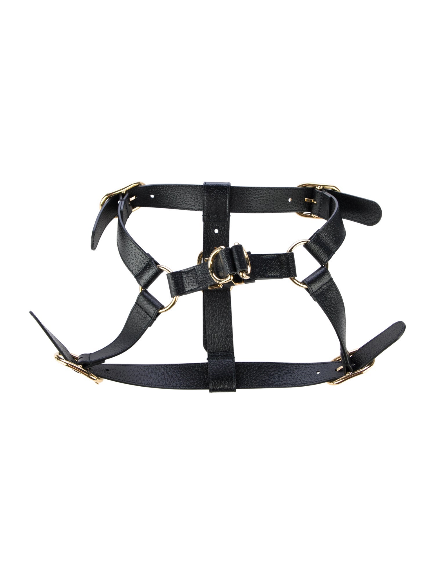 Gucci Demetra Pet Harness