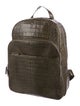 Santiago Gonzalez 2017 Crocodile Suede-Lined Backpack