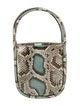 Hayward Python Top Handle Bag