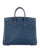 Hermès Ostrich Birkin 25