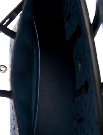 Hermès Ostrich Birkin 25