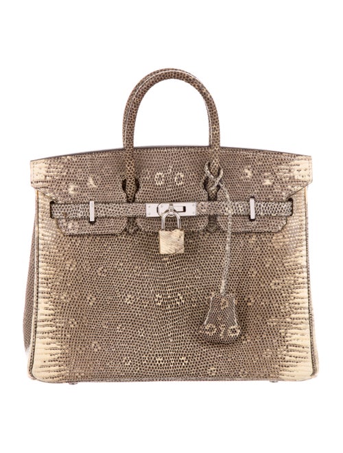Hermès Ombré Lizard Birkin 25