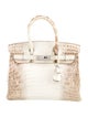 Hermès Matte Niloticus Crocodile 18K Diamond Himalayan Birkin 30