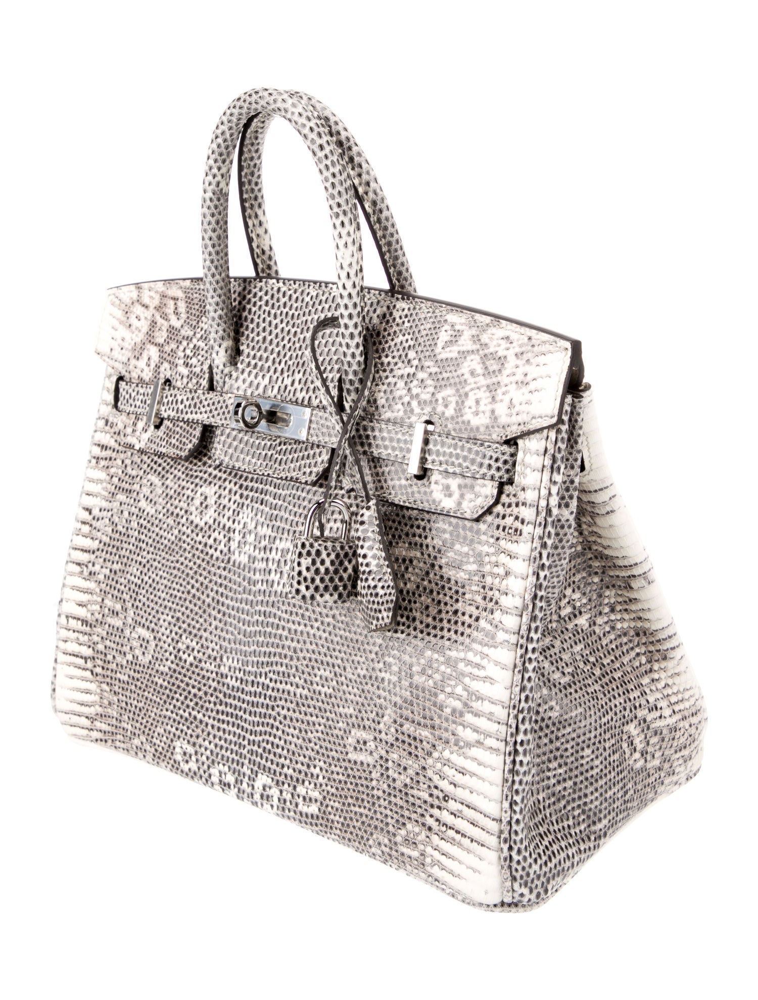 Hermès Ombre Varanus Salvator Lizard Birkin 25