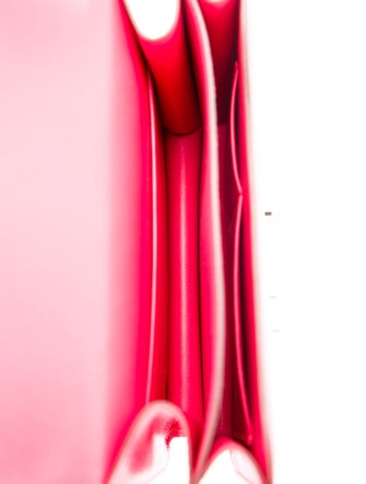 Hermès 2023 Chevre Mysore Mini Constance 18