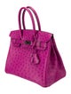 Hermès Ostrich Birkin 30