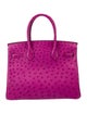 Hermès Ostrich Birkin 30