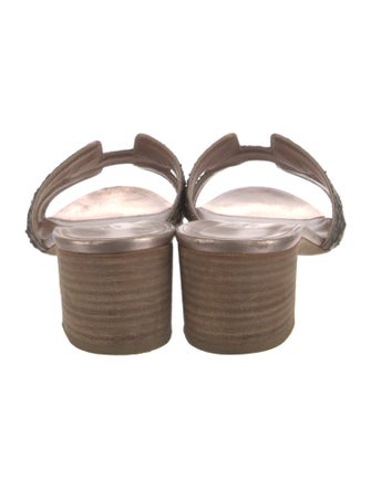 Hermès Oasis Python Slides