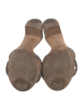 Hermès Oasis Python Slides