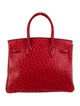 Hermès Ostrich Birkin 30