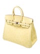 Hermès Ostrich Birkin 25