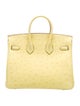 Hermès Ostrich Birkin 25
