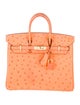 Hermès Ostrich Birkin 25