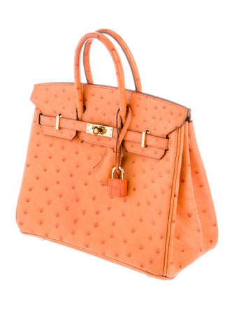 Hermès Ostrich Birkin 25